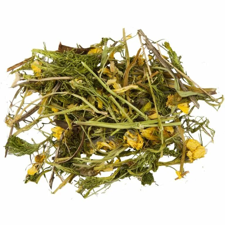 сырье трав. целебные травы. адонис весенний лекарственное сырье. зверобой продырявленный лекарственное сырье. сырье трав.