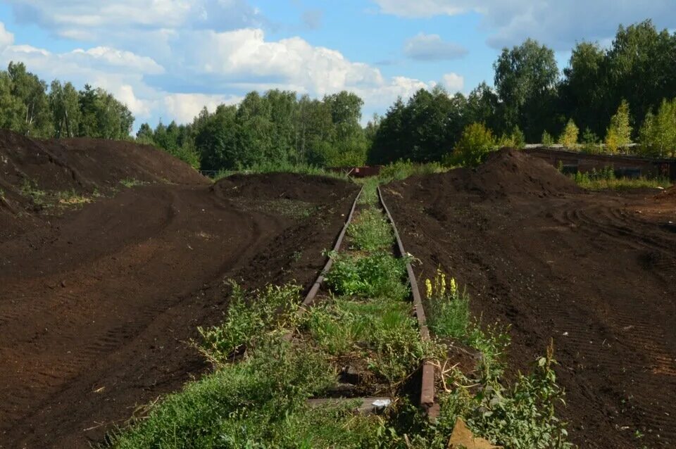 Деревня лопухи. УЖД торф. УЖД В Рязанской области. Рязанская область торфоразработки. Торф в Рязанской области.