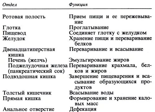 Таблица пищеварения человека. Функции отделов желудочно-кишечного тракта. Таблица по биологии строение и функции пищеварительной системы. Функции отделов желудочно-кишечного тракта таблица. Таблица взаимосвязь структуры и функции пищеварительной системы.