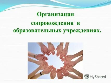 Организовали сопровождение