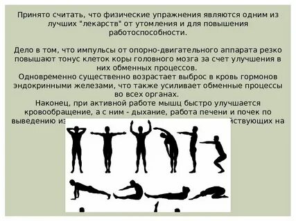 Назовите основные упражнения для продления работоспособности