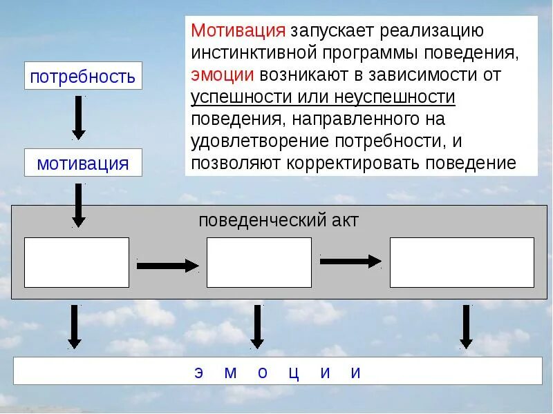 Изменение мотивации поведения. Физиология потребностей и мотиваций. Физиология мотиваций и эмоций. Физиологические основы мотивации. Механизм формирования мотивации физиология.