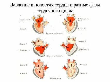 Какое давление в сердце