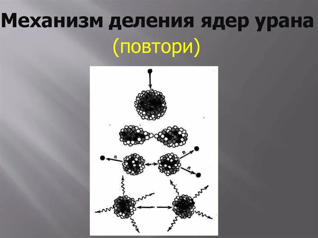 Механизм деления урана. Механизм деления ядра. Деление ядер урана. Механизм ядра урана.