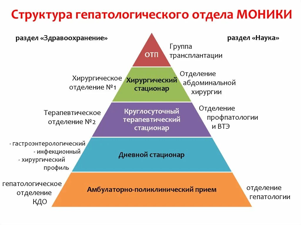 Гепатологическое отделение. Моники Гепатологический центр. Структура центра профпатологии. Отделение гепатологии Моники. Моники категория врачи