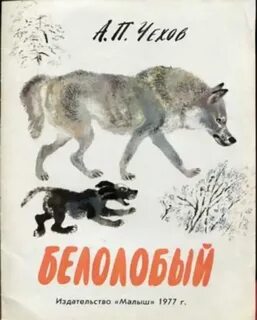 Чех чехов белолобый читательский дневник