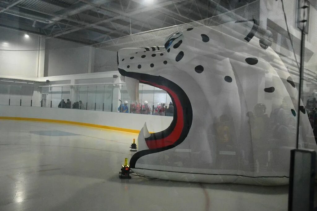 баско ледовая арена. ледовый дворец канск коньки. ледовый дворец лаишево. ледовый дворец арена канск. спорткомплекс юность апатиты.