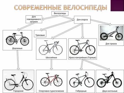Виды велосипедов какой выбрать