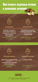 Сколько хранятся очищенные орехи