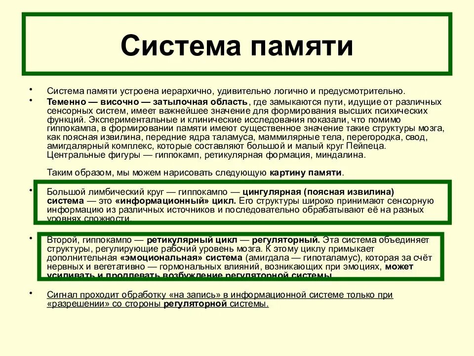 Процессы памяти человека. Система памяти. Подсистема памяти. Структура памяти процесса. Память процессы памяти.