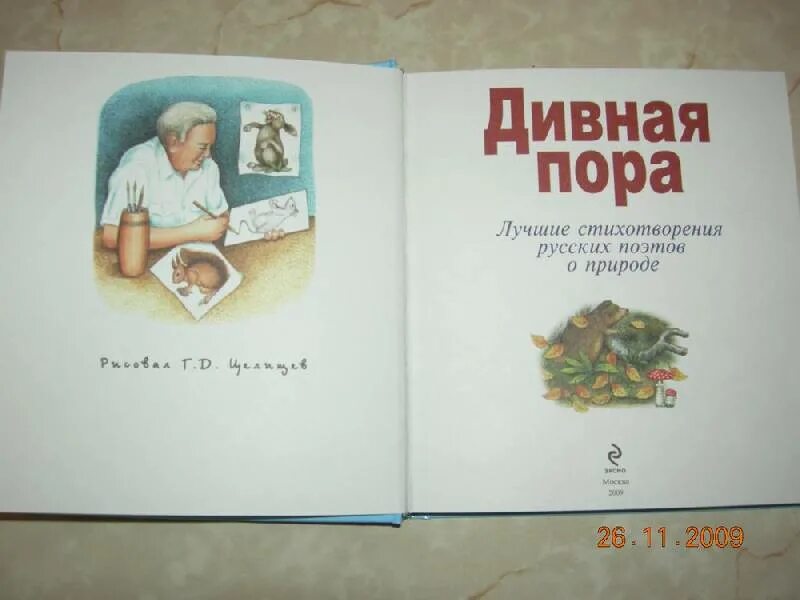 Стихотворения русских поэтов о книге. Книги стихотворения русских поэтов о зиме. Стихотворения русских поэтов о весне книги. Книги русских поэтов о зиме для 2 класса. Дивная пора сборник стихов.