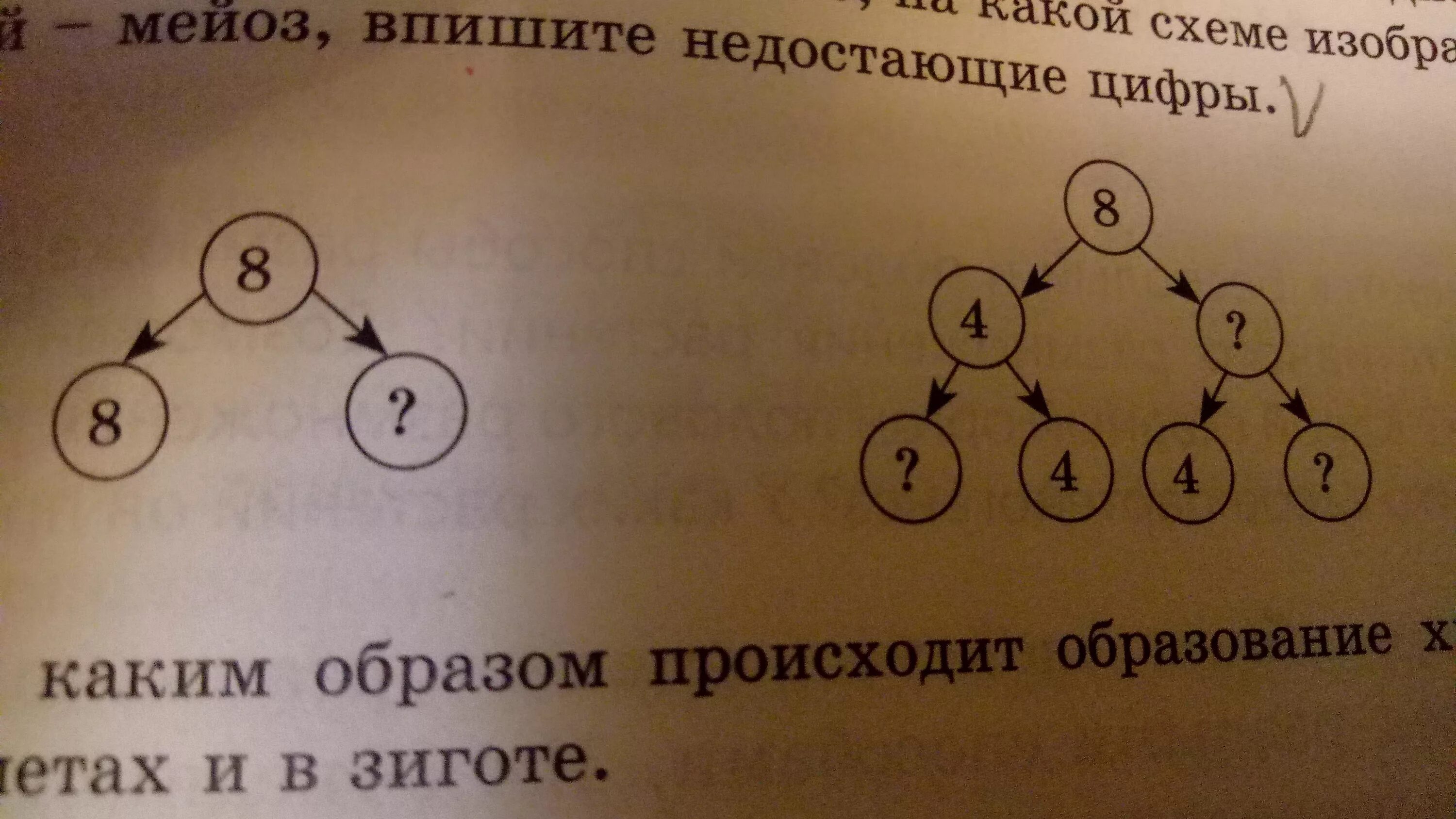 Рассмотри схемы в каких случаях. Впиши пропущенные цифры. Впишите недостающие цифры. Определите недостающее число. Впиши недостающие цифры.