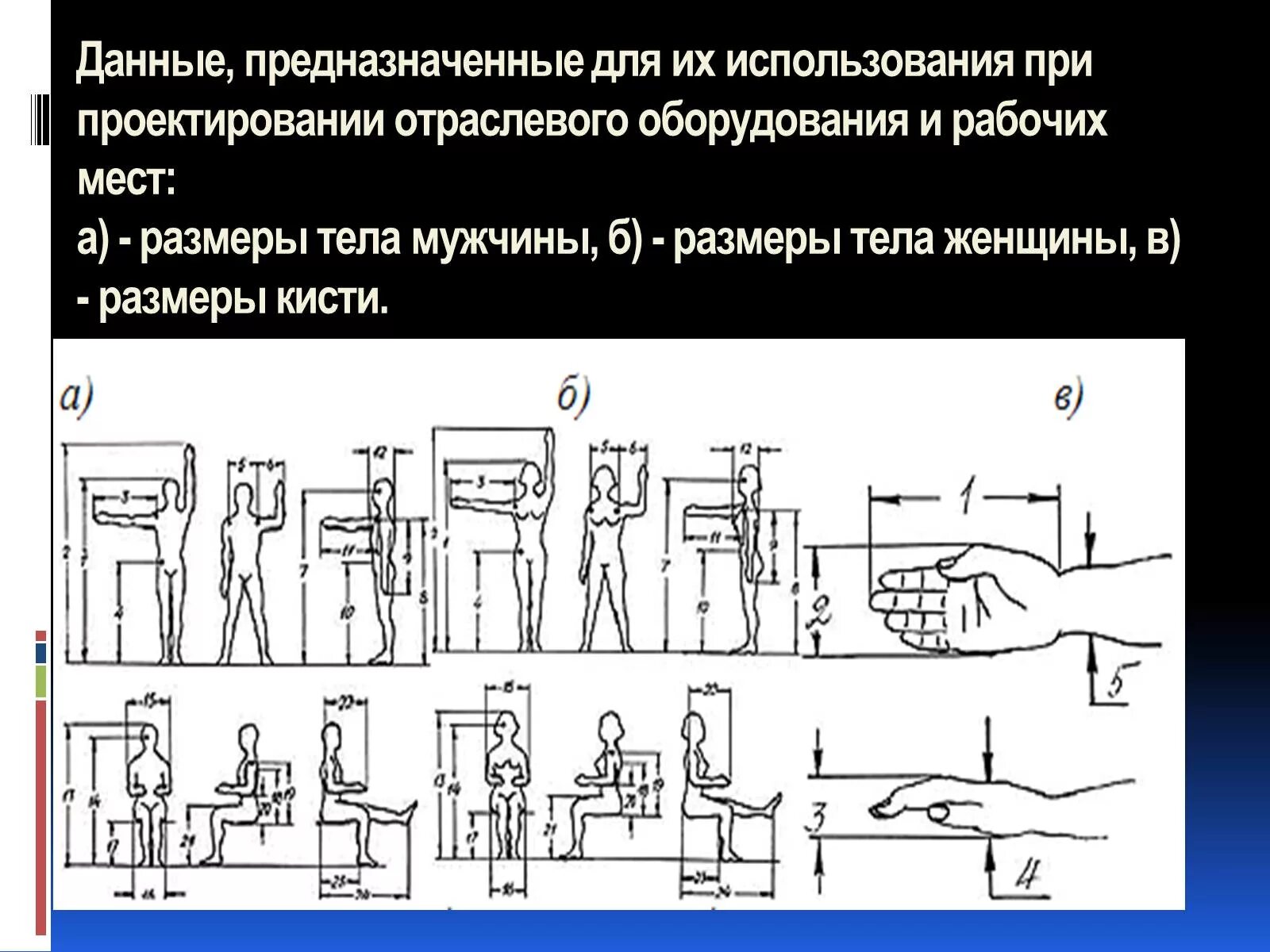 Ориентирующие размеры