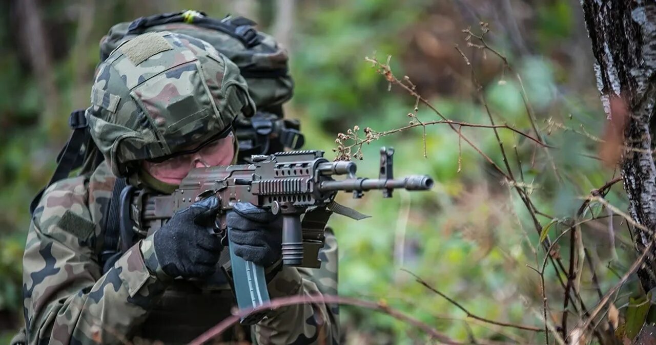 Калининградская область войска польши. Армия Польши Beryl. Винтовки армии Польши. Винтовки войска польского. Polish Army MSBS.