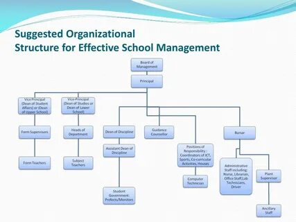 Organization but