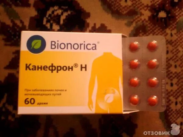 Канефрон международное название. Через сколько начал действовать канефрон. Через сколько начал действовать канефрон. Капли при цистите канефрон. Препарат при заболевании почек канефрон.