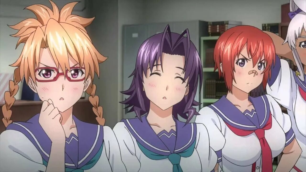Harem party adventures
