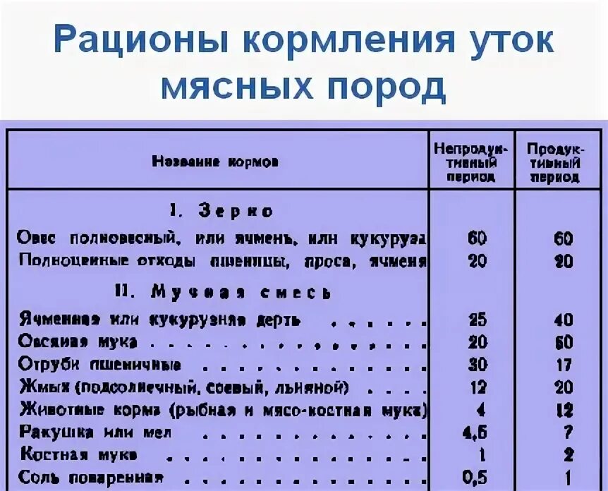 Норма комбикорма для уток мулардов. Таблица кормления уток комбикормом. Схема кормления уток Муладр. Нормы кормления утят.