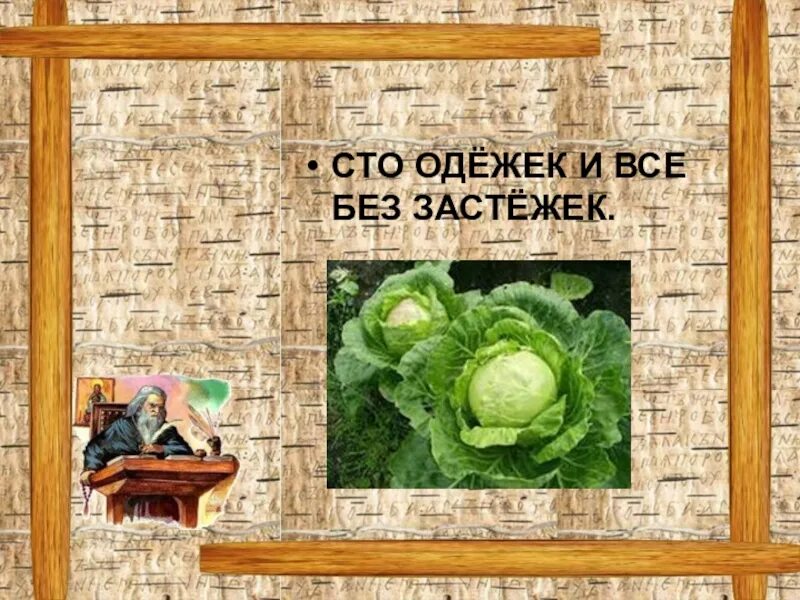 Загадку 100 одежек. Сто одежек, и все без застежек. сто оледек и все без застежек. сто одежик и все беззастежик. 100 одежек и все без застежек.