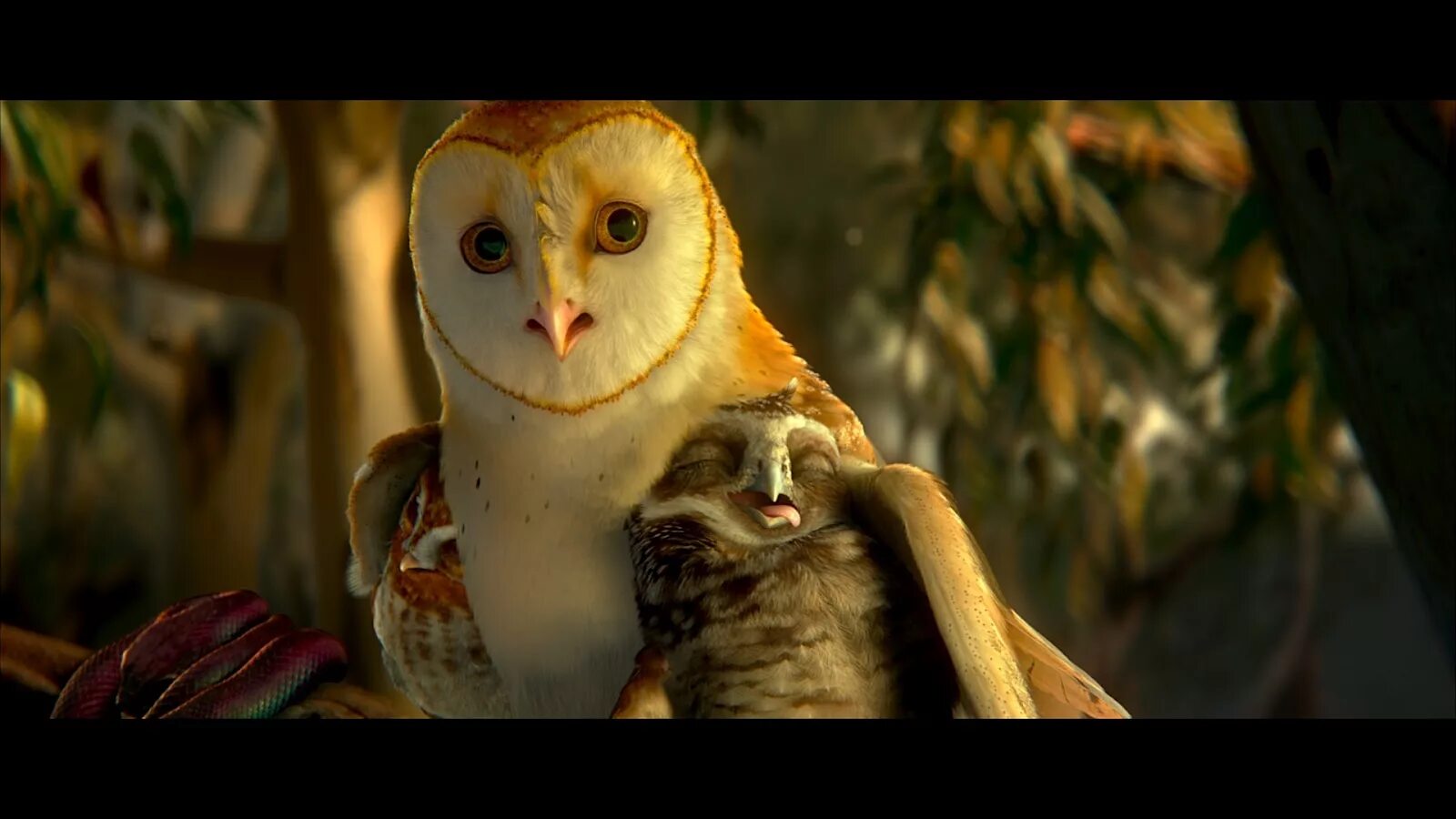 Ga hoole guardians the owls legend. Легенды ночных стражей мультфильм. Легенды ночных стражей Сорен. Мультик про сов ночные Стражи. Легенды ночных стражей 2010.