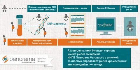 Тест нипт при беременности