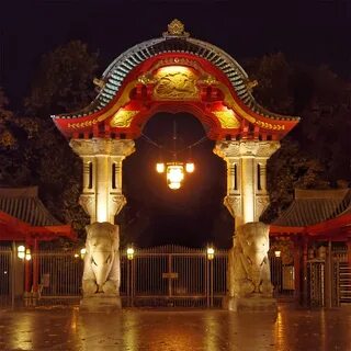 Ночь в зоопарке
