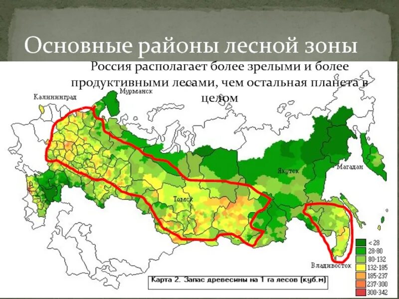 Смешанные и широколиственные леса на карте России. Карта Лесной промышленности России. Зона смешанных лесов на карте России. Зона смешанных и широколиственных лесов на карте России. Географическое положение смешанных в россии