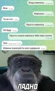 Просто извинись