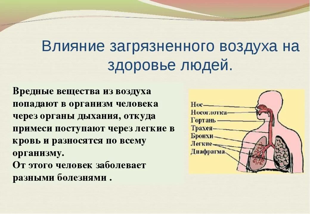 Влияние загрязнения воздуха на человека. Загрязнение атмосферы влияние на организм человека. Влияние загрязнения атмосферы на человека. Влияние загрязненной атмосферы на здоровье человека. Действие воздуха на организм