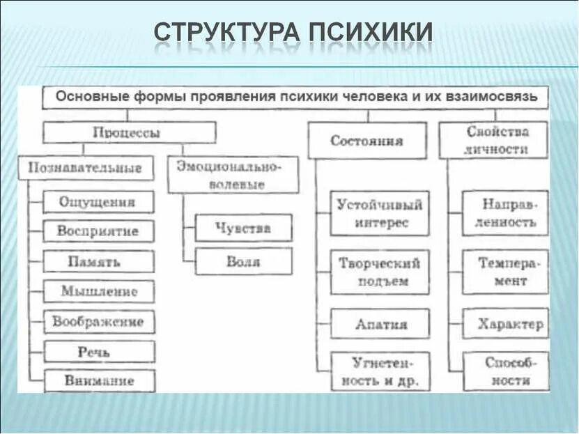 Динамикой психической деятельности человека определяют. Структура психики человека схема. Составляющие структуры психики. Структура психики человека психология схема. Заполните схему структура психики.