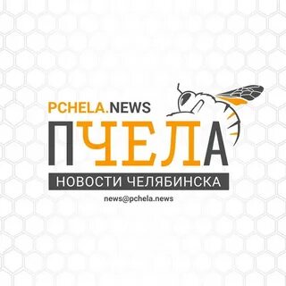 Челябинские пчелы