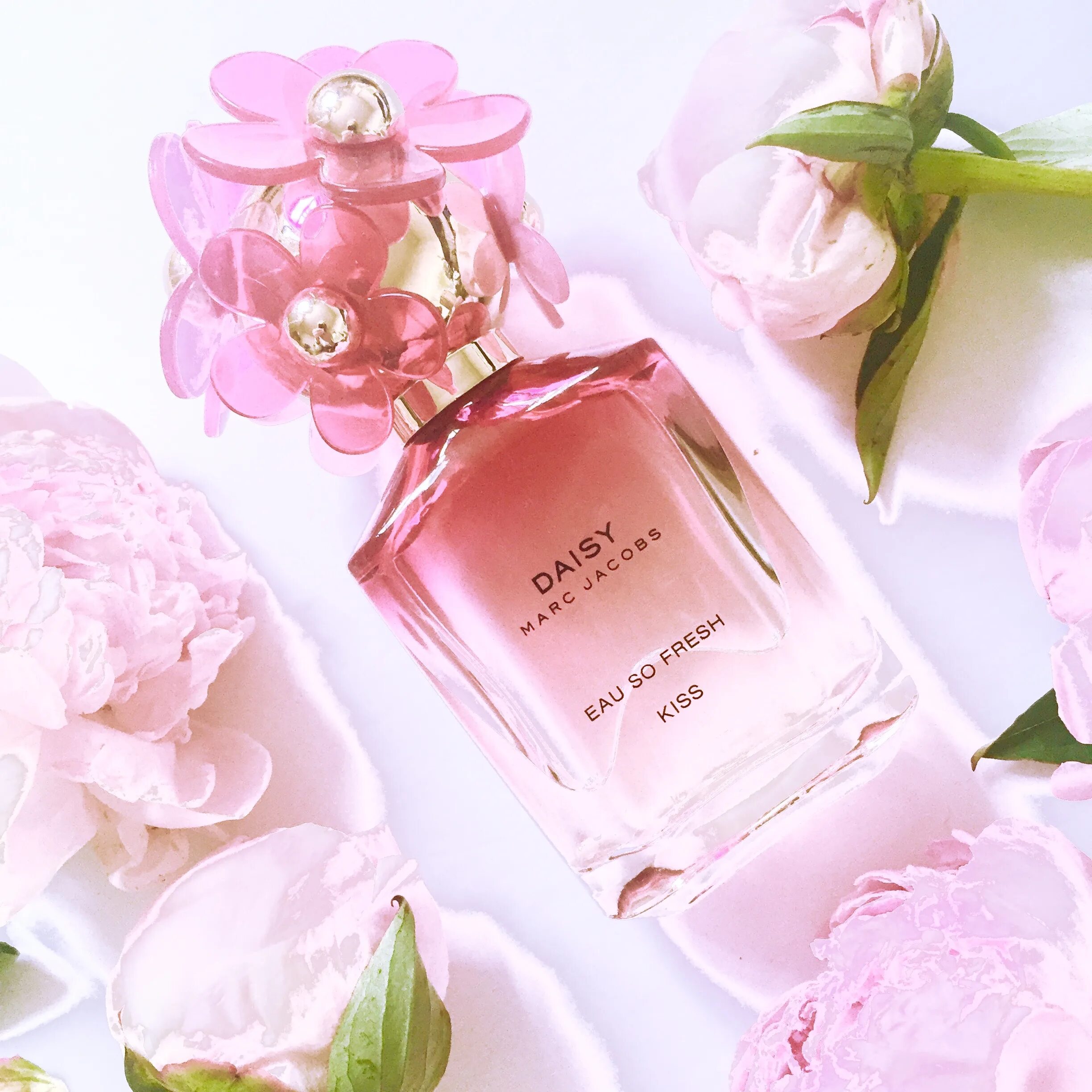 Carolina herrera "ch l eau' 100 ml. Духи женские популярные. Духи jimmy choo l'eau. Духи christian dior miss dior. Духи elizabeth arden green tea.