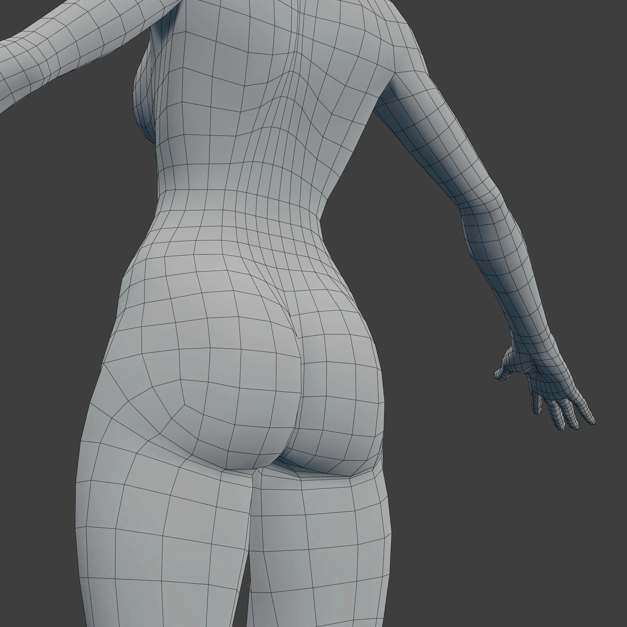 Сетчатое тело. Моделинг 3ds Max. Моделинг 3ds Max человек. Base Mesh 3d. Моделирование женского тела.