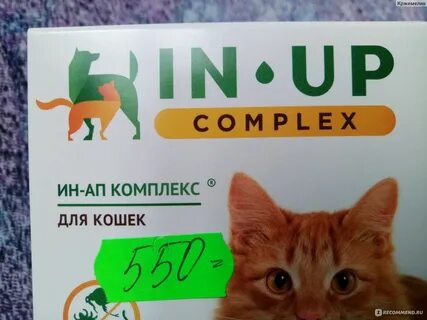 Ин ап комплекс для кошек