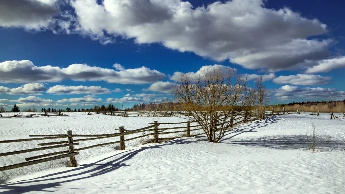 Март village. Вологодская область природа зима. Вологда зимой природа.