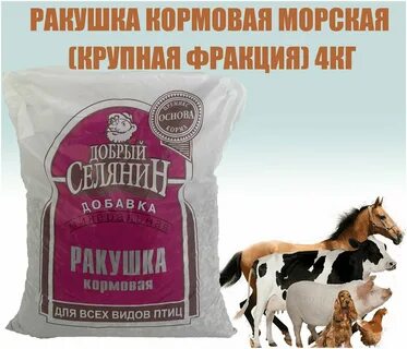 Ракушка кормовая