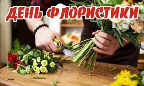 День флориста