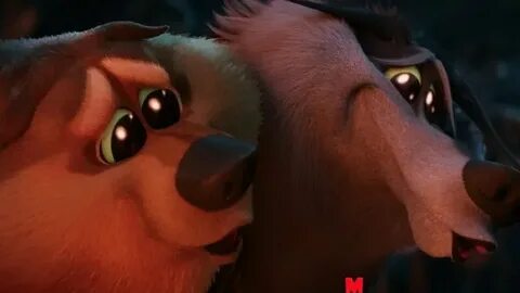 Жеңістің мысығы