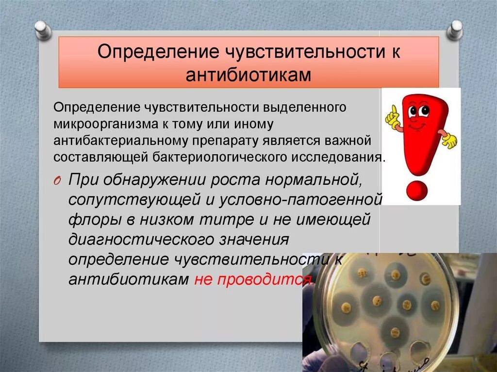 Хиликтабактери что это. Как определяется чувствительность бактерий к антибиотикам. Определить чувствительность бактерий к антибиотикам. Методы определения чувствительности бактерий к антибиотикам схема. Чувствительность микроорганизмов к антибиотикам определяется.