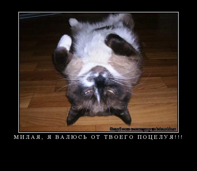 о доброте. умилительно это. любовь умиления. прощание с любимой женщиной навсегда. любовь умиления родителей.