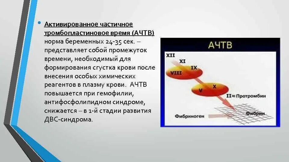 Ачтв понижен у мужчин. АЧТВ. Определение АЧТВ. Высокий АЧТВ причины. АЧТВ норма у женщин.