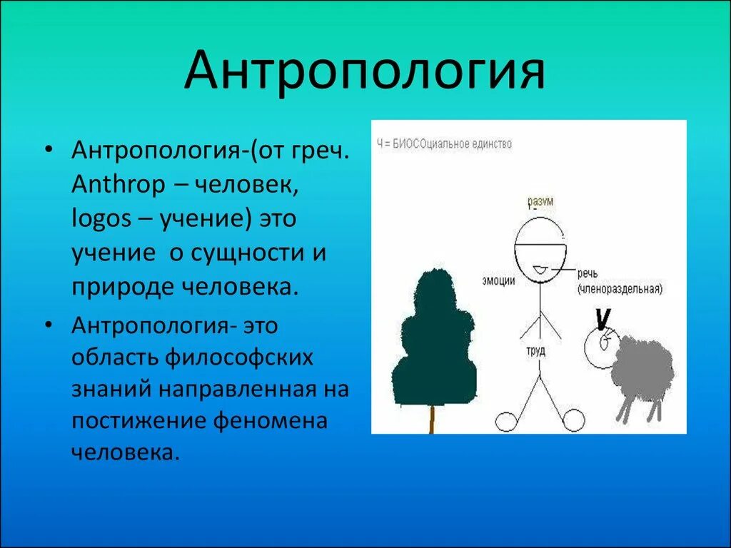 Антропология это учение о. Антропология. антропология человека. антропология данные человека это.