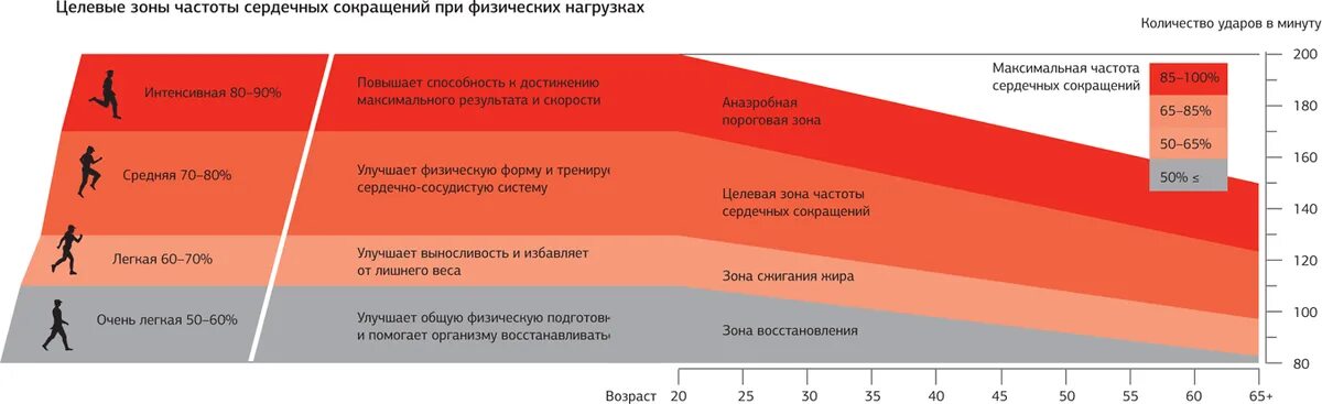 15 минут в зависимости от. Пульсовые зоны ЧСС. Максимальная частота сердечных сокращений. Пульсовые зоны для бега. Частота пульса при физической нагрузке.