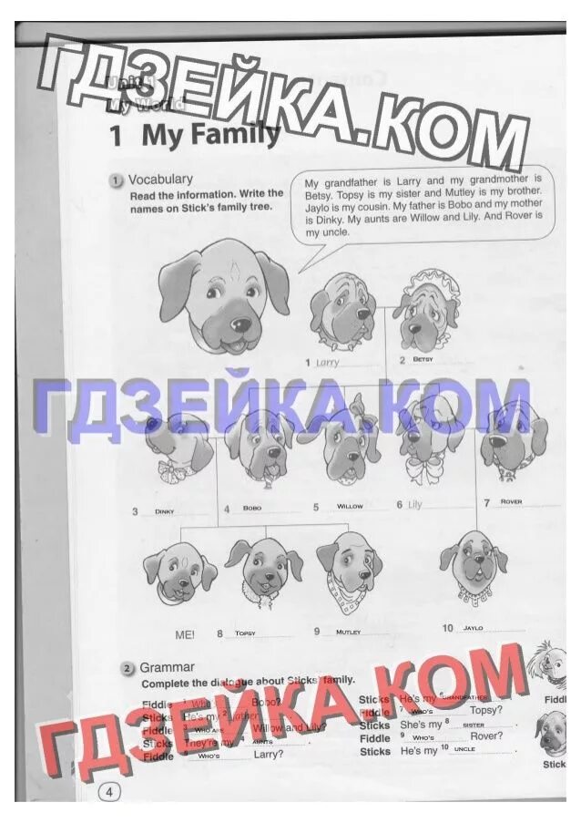 Grammar complete the dialogue. Complete the dialogue about sticks family 5 класс. английский язык 5 класс grammar. complete the dialogue about sticks&#039; family. complete the dialogue about sticks family 5 класс ответы. read the information write the names on sticks family tree ответы.