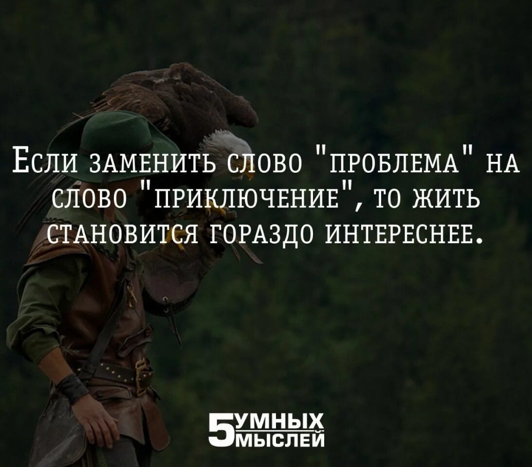 5 Умных мыслей цитаты. Интересные мысли. Афоризмы про приключения. Высказывания о приключениях.