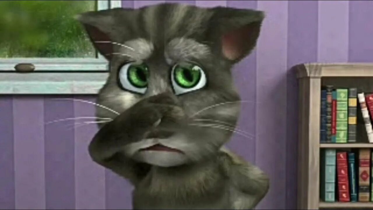 Говорящий кот том 2. Talking Tom Cat. My talking Tom 2013. Кот том нет. Говорящий кот давай