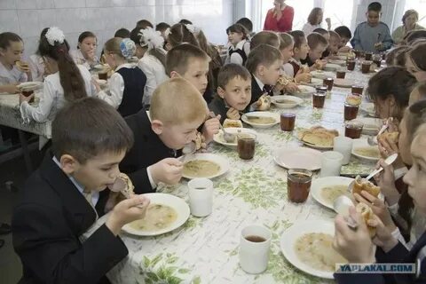 Школа 2 овощи