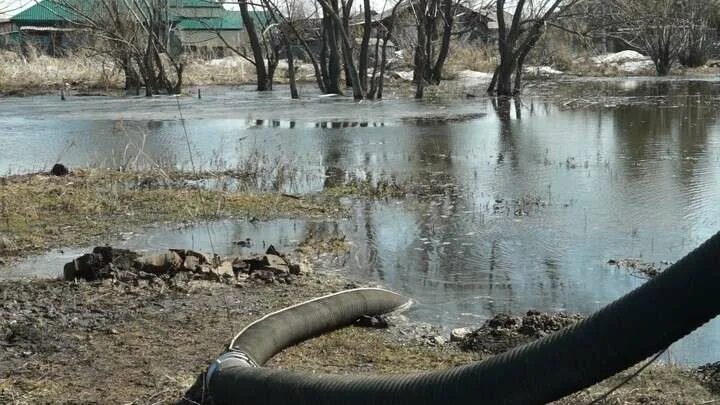 Уровень реки алей рубцовск