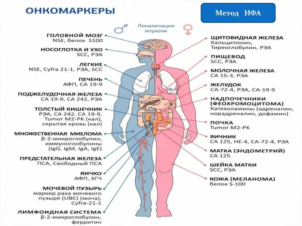 Онкомаркеры. Женские онкомаркеры. Онкомаркеры желудка. Онкомаркеры картинка. Онкомаркеры по омс