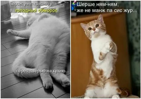 Смешные картинки до слез работа